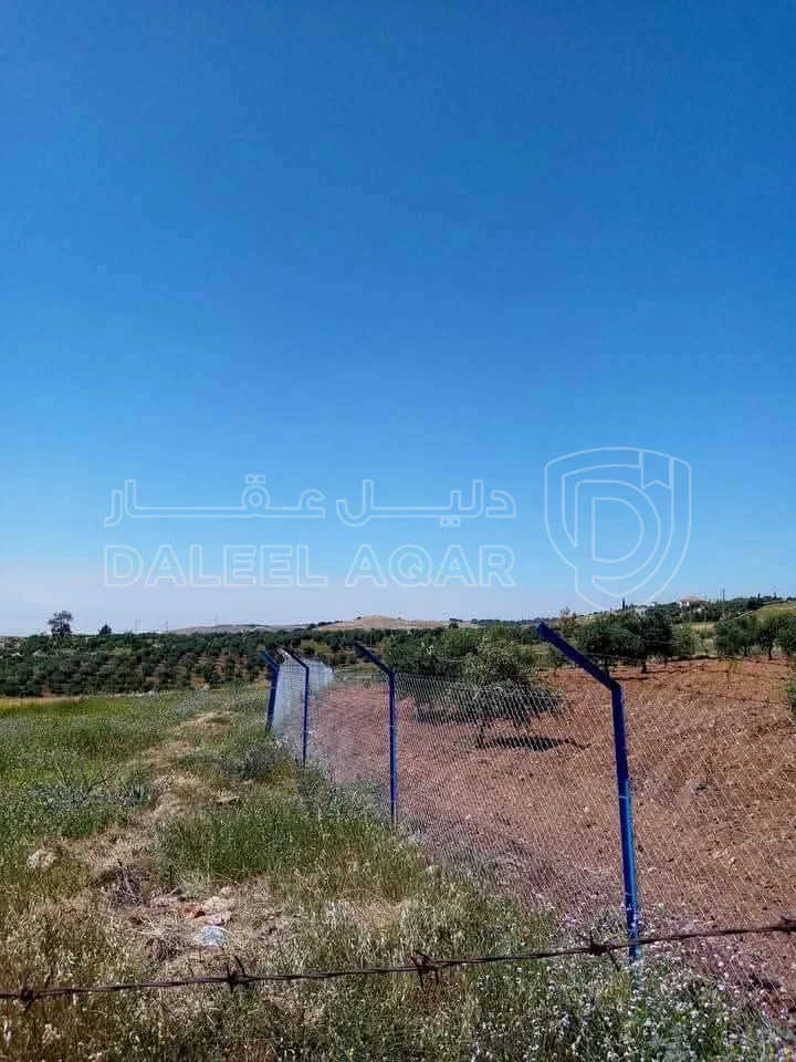 أرض في مادبا - الفيصلية  - 148,750 دأ - صورة 1